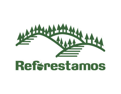 Los Bóscares Perú 2023: entrega de reconocimientos a empresas líderes en el cuidado de los bosques del país.