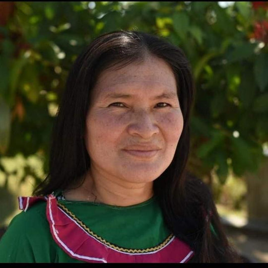 AGUSTINA - BLUSA DELIA